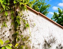 Pared con manchas de hongo y verdín